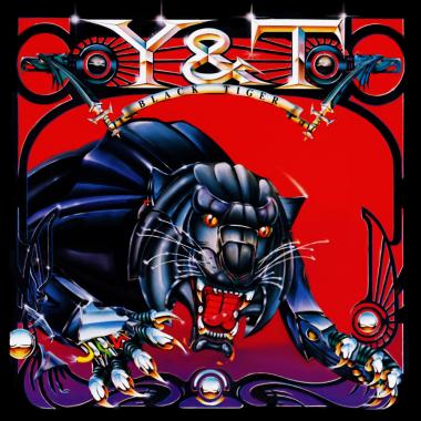 Y and T -  Black Tiger